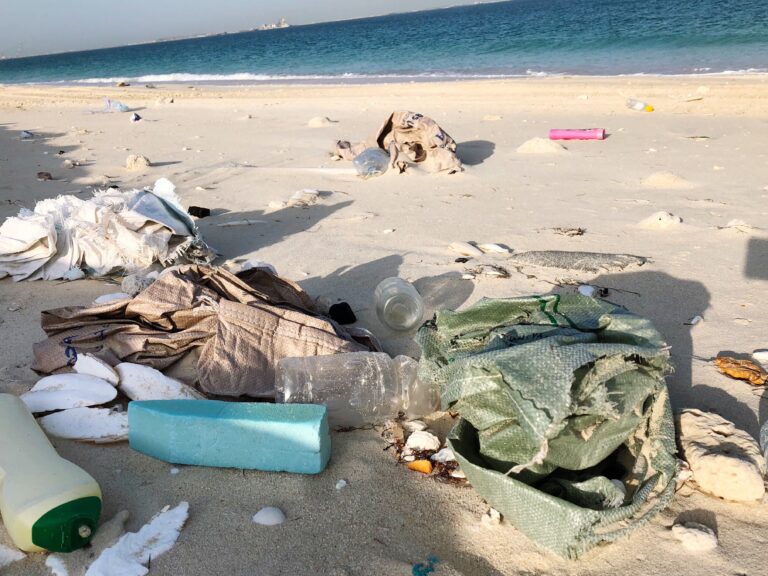 plastic-waste-washed-of-on-the-beach-2021-08-30-19-16-12-utc-768×576 plastic-waste-washed-of-on-the-beach-2021-08-30-19-16-12-utc-768x576